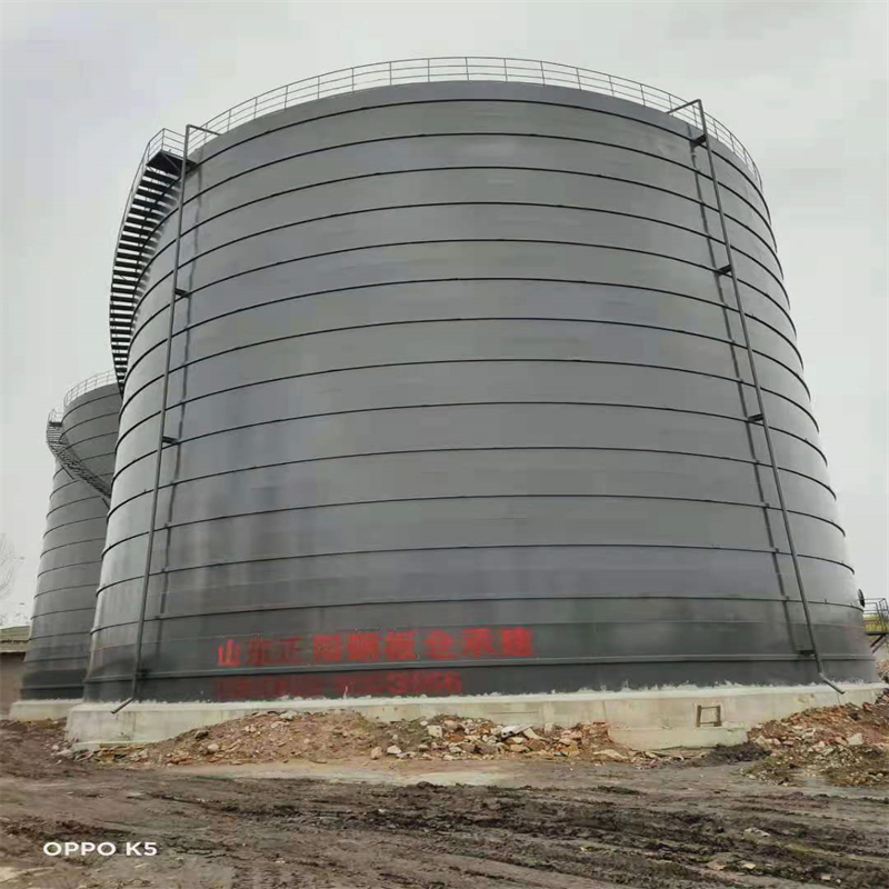 社旗县3万吨大型钢板库