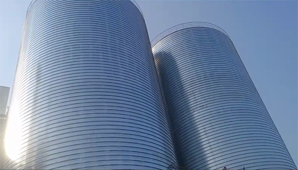 社旗县2座混凝土高架卷板仓